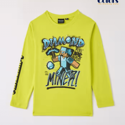 Crew neck T-shirt Crew Neck T-shirt with Minecraft print