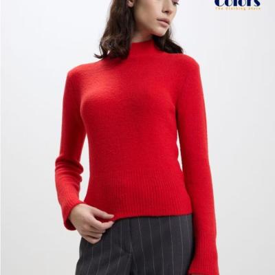 Turtle Neck Woolen Sweater