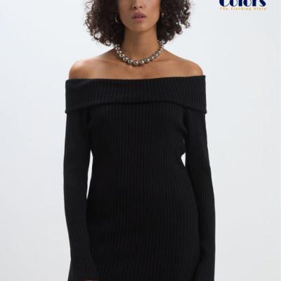 Women Ribbed Shiffer Stylish Dress