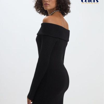 Women Ribbed Shiffer Stylish Dress